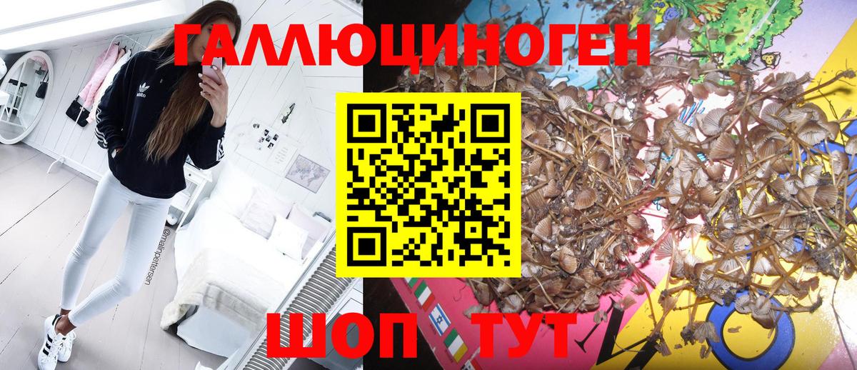 Галлюциногенные грибы прущие грибы  Вход с VPN  Галлюциногенные грибы прущие грибы  купить наркотики сайты  Ефремов 